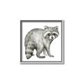 Picture of Forest Raccoon  _GroupedProduct_Square_Mini_ _GroupedProduct_Square_Canvas_Framed_