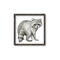 Picture of Forest Raccoon  _GroupedProduct_Square_Mini_ _GroupedProduct_Square_Canvas_Framed_
