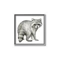 Picture of Forest Raccoon  _GroupedProduct_Square_Mini_ _GroupedProduct_Square_Canvas_Framed_