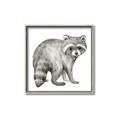 Picture of Forest Raccoon  _GroupedProduct_Square_Mini_ _GroupedProduct_Square_Canvas_Framed_