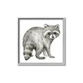 Picture of Forest Raccoon  _GroupedProduct_Square_Mini_ _GroupedProduct_Square_Canvas_Framed_