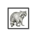 Picture of Forest Raccoon  _GroupedProduct_Square_Mini_ _GroupedProduct_Square_Canvas_Framed_