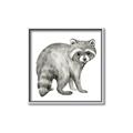 Picture of Forest Raccoon  _GroupedProduct_Square_Mini_ _GroupedProduct_Square_Canvas_Framed_