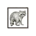 Picture of Forest Raccoon  _GroupedProduct_Square_Mini_ _GroupedProduct_Square_Canvas_Framed_