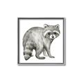 Picture of Forest Raccoon  _GroupedProduct_Square_Mini_ _GroupedProduct_Square_Canvas_Framed_