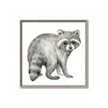 Picture of Forest Raccoon  _GroupedProduct_Square_Mini_ _GroupedProduct_Square_Canvas_Framed_
