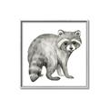 Picture of Forest Raccoon  _GroupedProduct_Square_Mini_ _GroupedProduct_Square_Canvas_Framed_