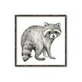 Picture of Forest Raccoon  _GroupedProduct_Square_Mini_ _GroupedProduct_Square_Canvas_Framed_