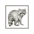 Picture of Forest Raccoon  _GroupedProduct_Square_Mini_ _GroupedProduct_Square_Canvas_Framed_