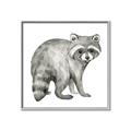 Picture of Forest Raccoon  _GroupedProduct_Square_Mini_ _GroupedProduct_Square_Canvas_Framed_