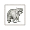 Picture of Forest Raccoon  _GroupedProduct_Square_Mini_ _GroupedProduct_Square_Canvas_Framed_