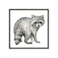 Picture of Forest Raccoon  _GroupedProduct_Square_Mini_ _GroupedProduct_Square_Canvas_Framed_