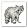Picture of Forest Raccoon  _GroupedProduct_Square_Mini_ _GroupedProduct_Square_Canvas_Framed_