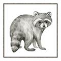 Picture of Forest Raccoon  _GroupedProduct_Square_Mini_ _GroupedProduct_Square_Canvas_Framed_