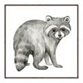 Picture of Forest Raccoon  _GroupedProduct_Square_Mini_ _GroupedProduct_Square_Canvas_Framed_