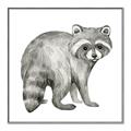 Picture of Forest Raccoon  _GroupedProduct_Square_Mini_ _GroupedProduct_Square_Canvas_Framed_