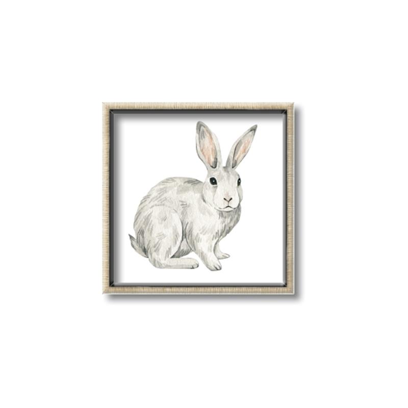 Picture of Forest Bunny _GroupedProduct_Square_Mini_ _GroupedProduct_Square_Canvas_Framed_