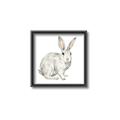 Picture of Forest Bunny _GroupedProduct_Square_Mini_ _GroupedProduct_Square_Canvas_Framed_