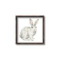 Picture of Forest Bunny _GroupedProduct_Square_Mini_ _GroupedProduct_Square_Canvas_Framed_