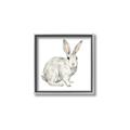 Picture of Forest Bunny _GroupedProduct_Square_Mini_ _GroupedProduct_Square_Canvas_Framed_