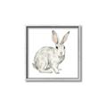 Picture of Forest Bunny _GroupedProduct_Square_Mini_ _GroupedProduct_Square_Canvas_Framed_