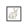 Picture of Forest Bunny _GroupedProduct_Square_Mini_ _GroupedProduct_Square_Canvas_Framed_
