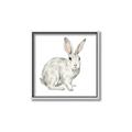 Picture of Forest Bunny _GroupedProduct_Square_Mini_ _GroupedProduct_Square_Canvas_Framed_