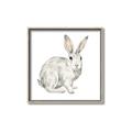 Picture of Forest Bunny _GroupedProduct_Square_Mini_ _GroupedProduct_Square_Canvas_Framed_