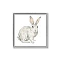 Picture of Forest Bunny _GroupedProduct_Square_Mini_ _GroupedProduct_Square_Canvas_Framed_