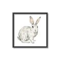 Picture of Forest Bunny _GroupedProduct_Square_Mini_ _GroupedProduct_Square_Canvas_Framed_