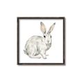 Picture of Forest Bunny _GroupedProduct_Square_Mini_ _GroupedProduct_Square_Canvas_Framed_