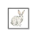 Picture of Forest Bunny _GroupedProduct_Square_Mini_ _GroupedProduct_Square_Canvas_Framed_