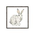 Picture of Forest Bunny _GroupedProduct_Square_Mini_ _GroupedProduct_Square_Canvas_Framed_
