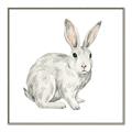 Picture of Forest Bunny _GroupedProduct_Square_Mini_ _GroupedProduct_Square_Canvas_Framed_