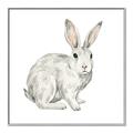Picture of Forest Bunny _GroupedProduct_Square_Mini_ _GroupedProduct_Square_Canvas_Framed_