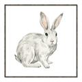 Picture of Forest Bunny _GroupedProduct_Square_Mini_ _GroupedProduct_Square_Canvas_Framed_