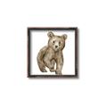 Picture of Forest Bear _GroupedProduct_Square_Mini_ _GroupedProduct_Square_Canvas_Framed_