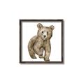 Picture of Forest Bear _GroupedProduct_Square_Mini_ _GroupedProduct_Square_Canvas_Framed_