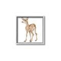 Picture of Forest Deer _GroupedProduct_Square_Mini_ _GroupedProduct_Square_Canvas_Framed_