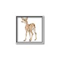 Picture of Forest Deer _GroupedProduct_Square_Mini_ _GroupedProduct_Square_Canvas_Framed_