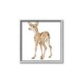 Picture of Forest Deer _GroupedProduct_Square_Mini_ _GroupedProduct_Square_Canvas_Framed_