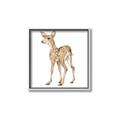 Picture of Forest Deer _GroupedProduct_Square_Mini_ _GroupedProduct_Square_Canvas_Framed_