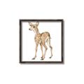 Picture of Forest Deer _GroupedProduct_Square_Mini_ _GroupedProduct_Square_Canvas_Framed_