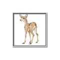 Picture of Forest Deer _GroupedProduct_Square_Mini_ _GroupedProduct_Square_Canvas_Framed_