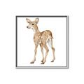 Picture of Forest Deer _GroupedProduct_Square_Mini_ _GroupedProduct_Square_Canvas_Framed_