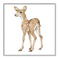 Picture of Forest Deer _GroupedProduct_Square_Mini_ _GroupedProduct_Square_Canvas_Framed_