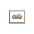 Picture of Baby grizzly bear I _GroupedProduct_Rectangle_Landscape_Mini_ _GroupedProduct_Rectangle_Landscape_Canvas_Framed_