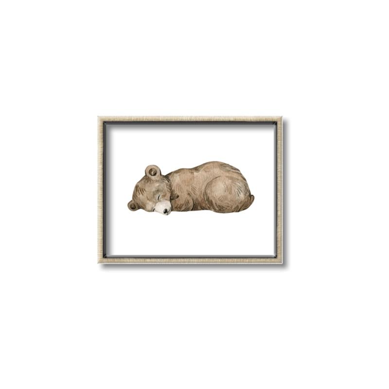 Picture of Baby grizzly bear I _GroupedProduct_Rectangle_Landscape_Mini_ _GroupedProduct_Rectangle_Landscape_Canvas_Framed_