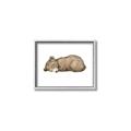 Picture of Baby grizzly bear I _GroupedProduct_Rectangle_Landscape_Mini_ _GroupedProduct_Rectangle_Landscape_Canvas_Framed_