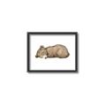 Picture of Baby grizzly bear I _GroupedProduct_Rectangle_Landscape_Mini_ _GroupedProduct_Rectangle_Landscape_Canvas_Framed_